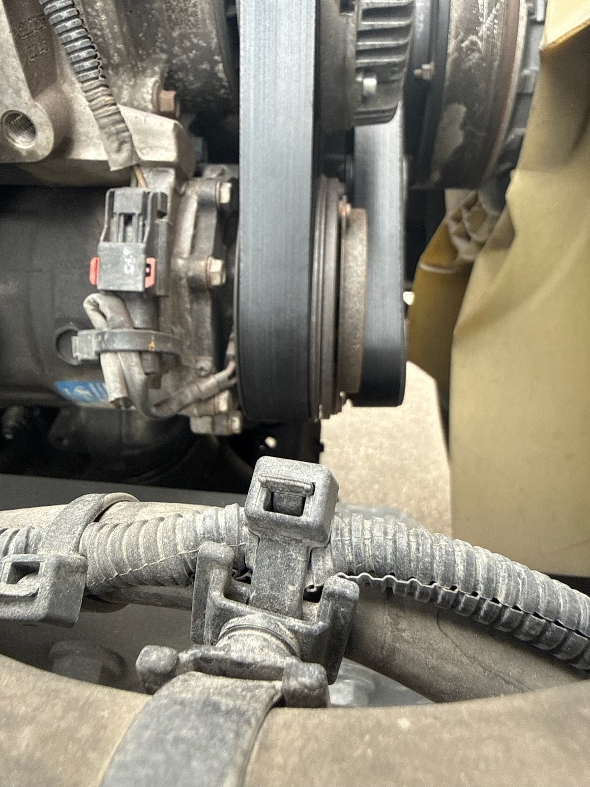 Serpentine Belt Check